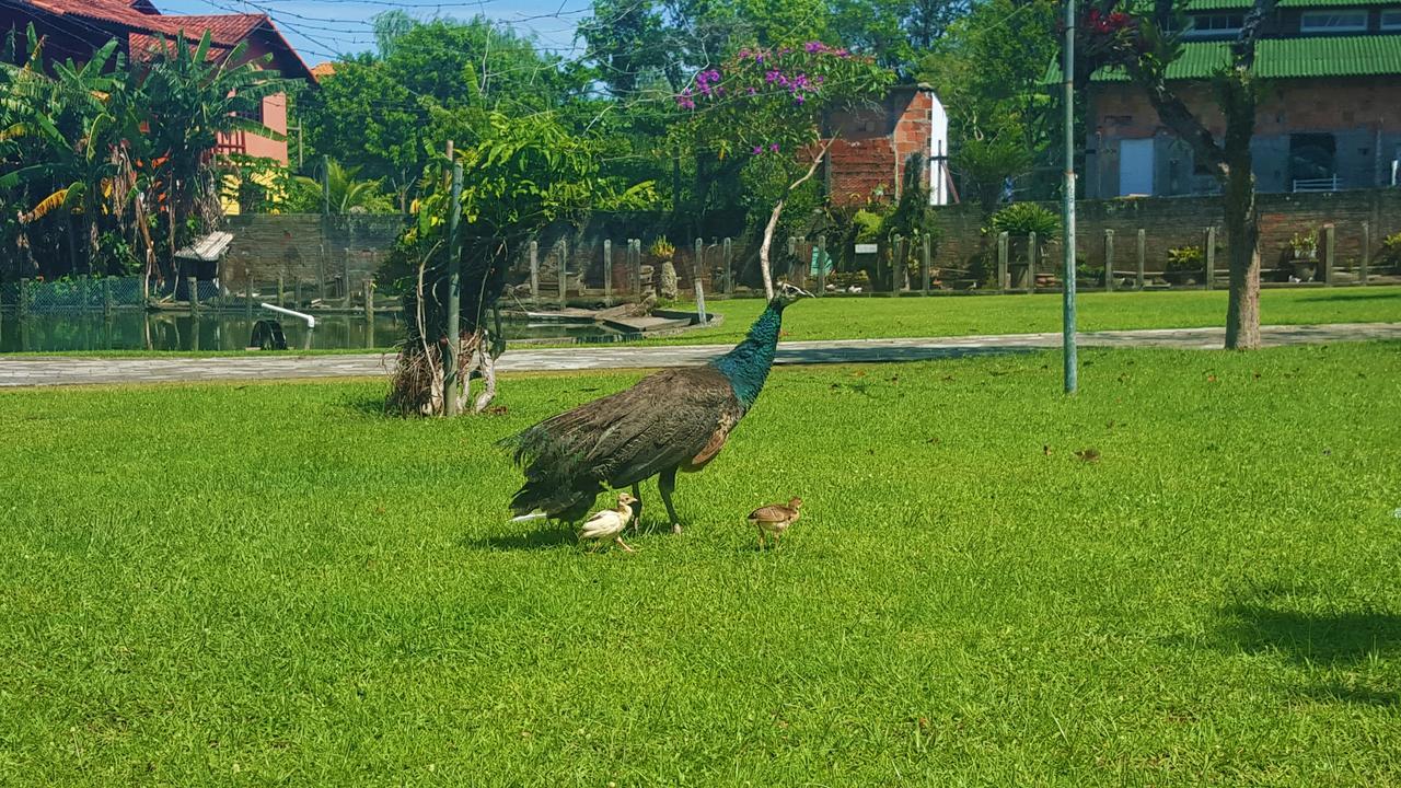 Pousada Pavao Branco Florianópolis Kültér fotó