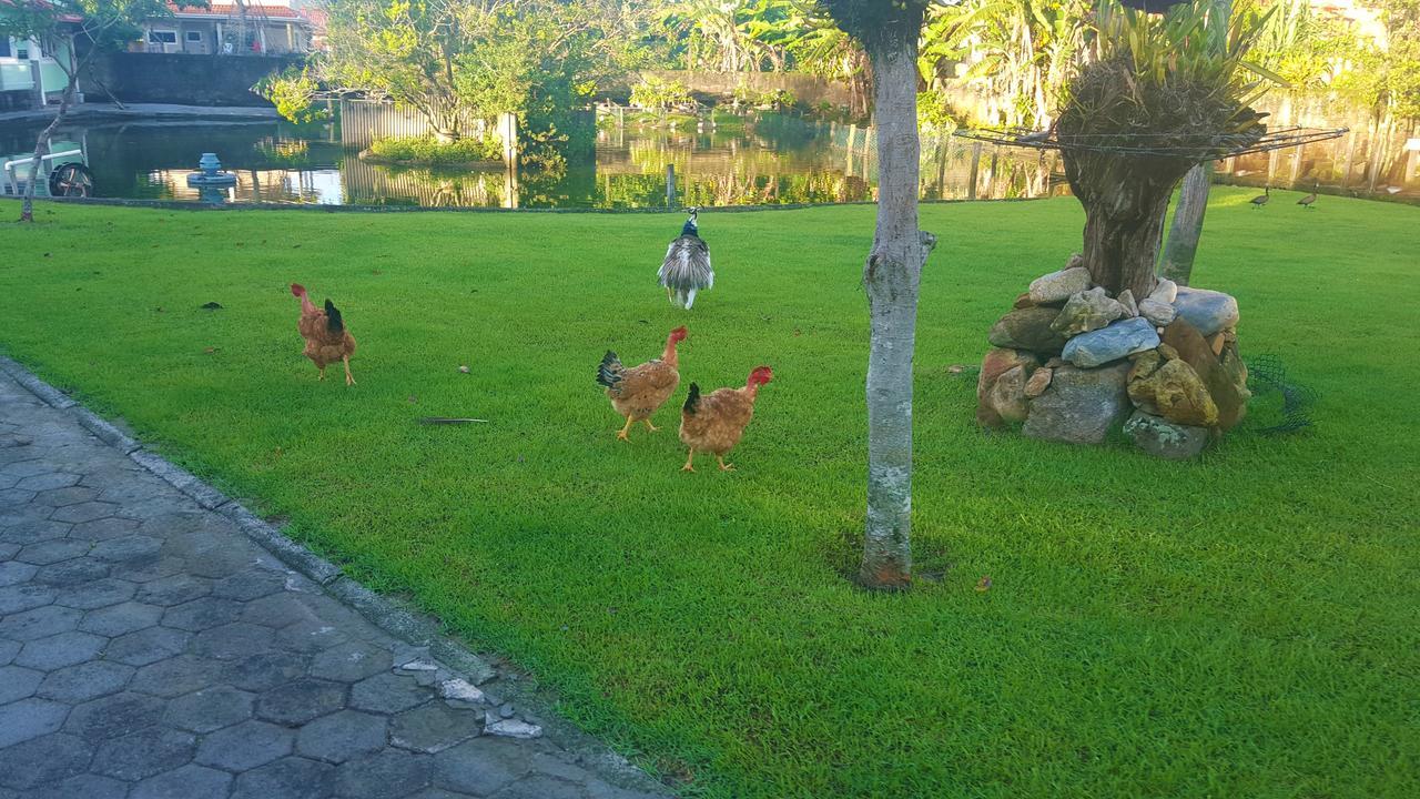 Pousada Pavao Branco Florianópolis Kültér fotó