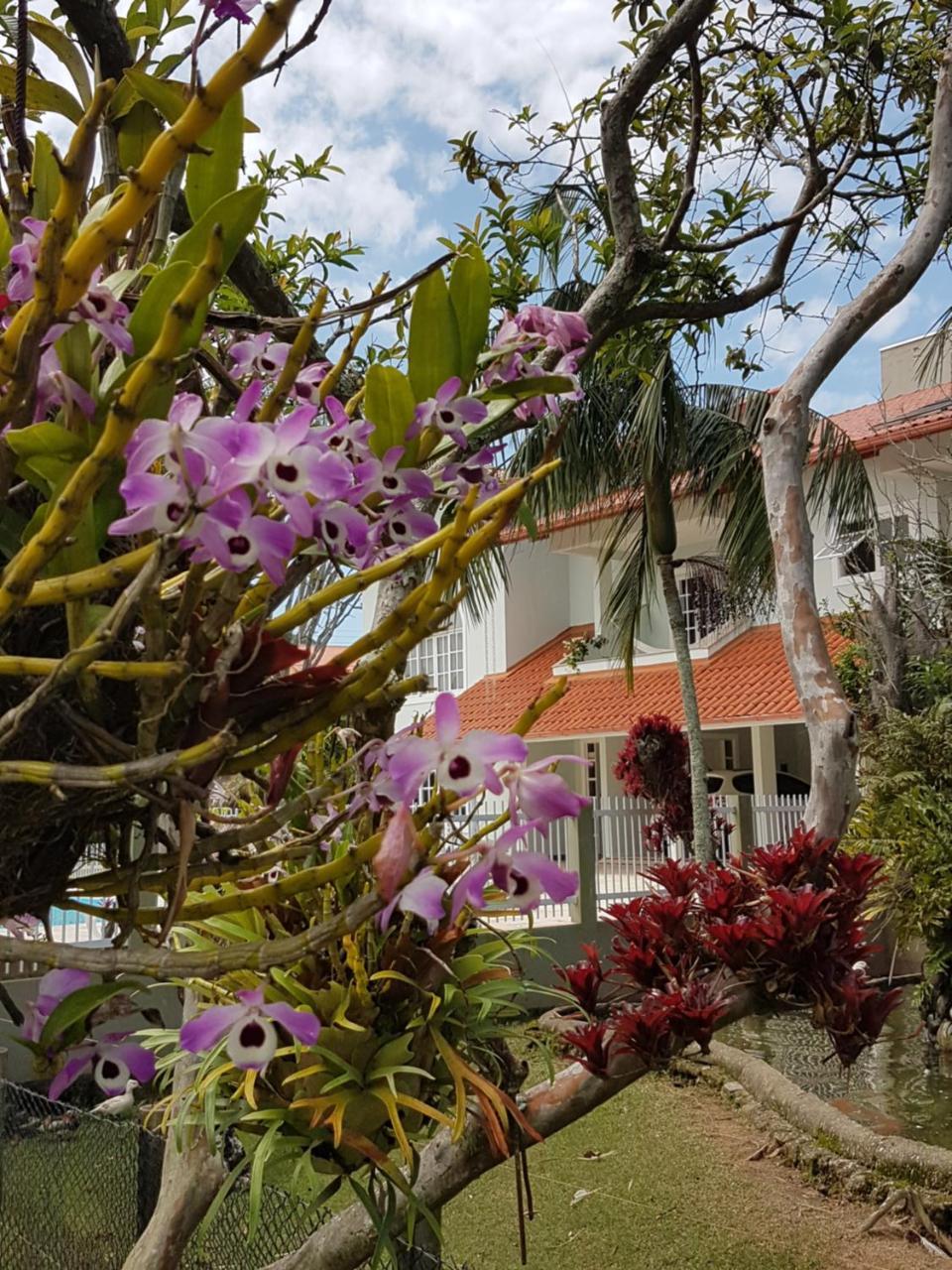Pousada Pavao Branco Florianópolis Kültér fotó