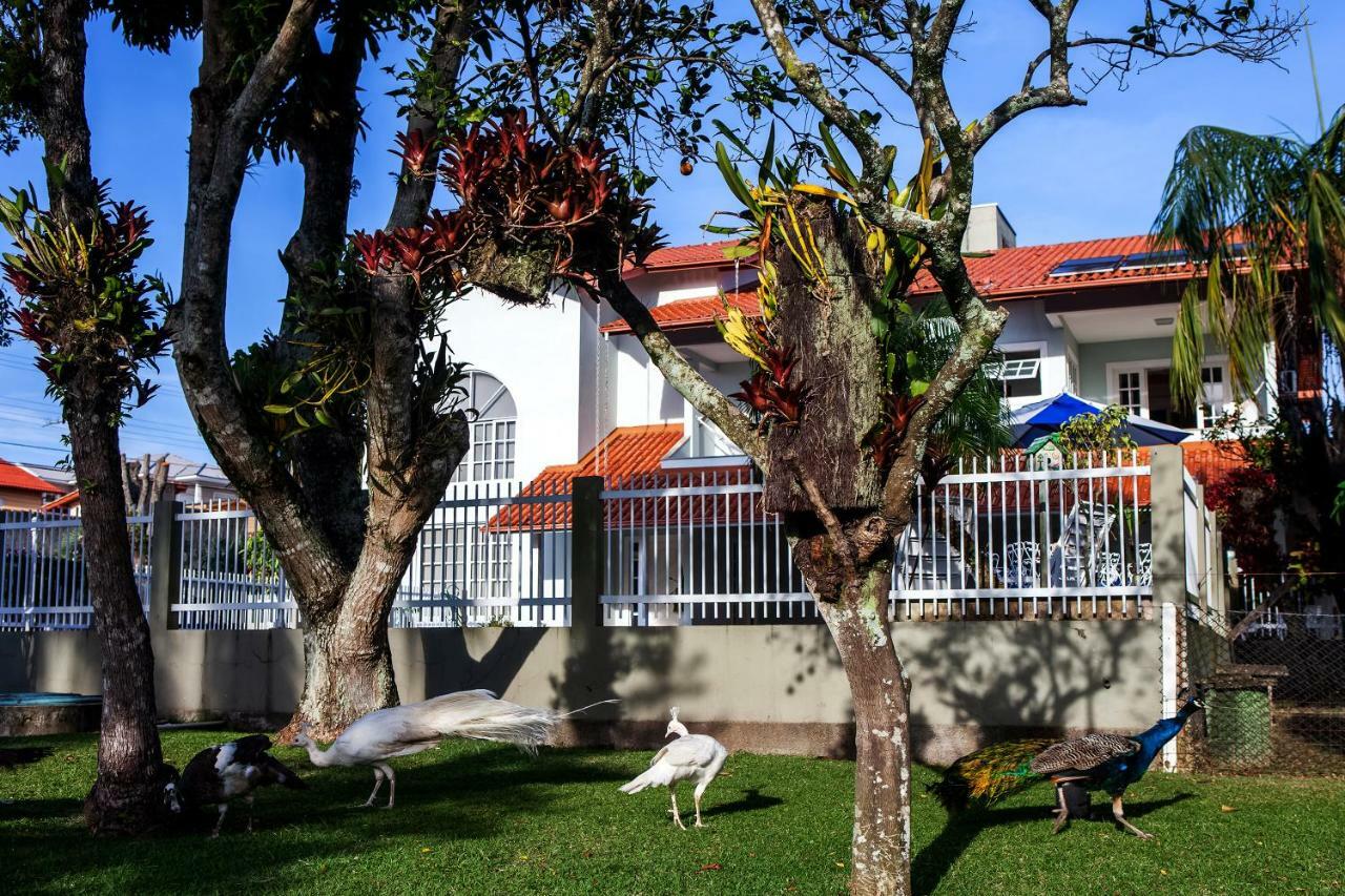 Pousada Pavao Branco Florianópolis Kültér fotó